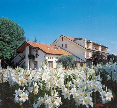Ca' Delle Rose Hotel Castelfranco Veneto Exterior foto